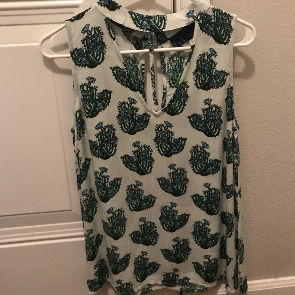 Francesca’s cactus tank